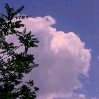 守望精英内购破解版下载